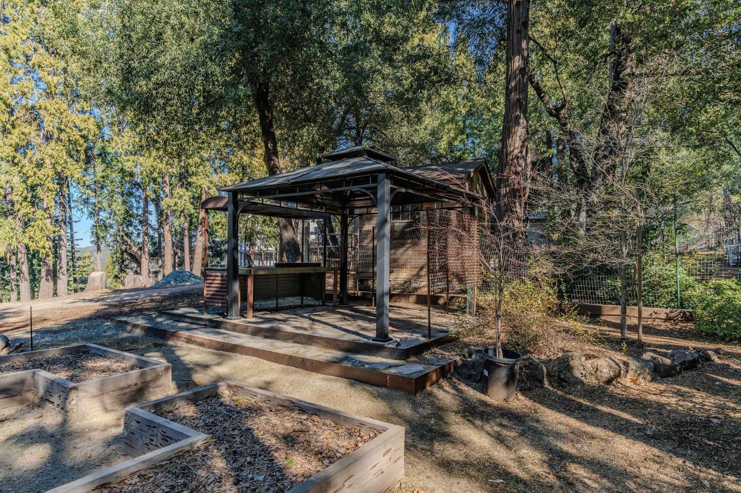 24985 Shake Ridge Road Volcano, CA 95689 - Photo 84 of 92 a view of a wooden house with a large trees and lawn chairs under an umbrella