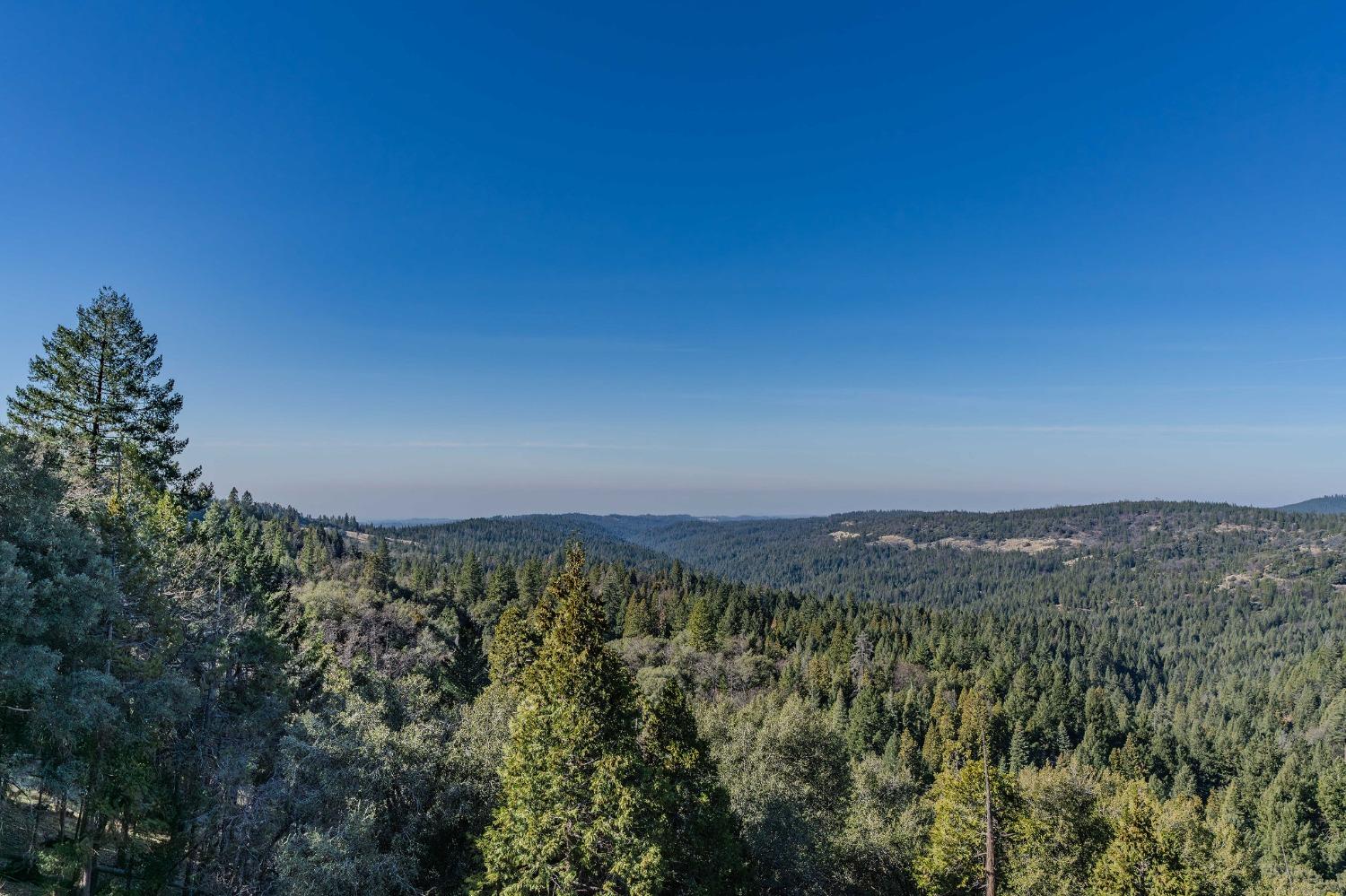 24985 Shake Ridge Road Volcano, CA 95689 - Photo 92 of 92 a view of a city with lush green forest