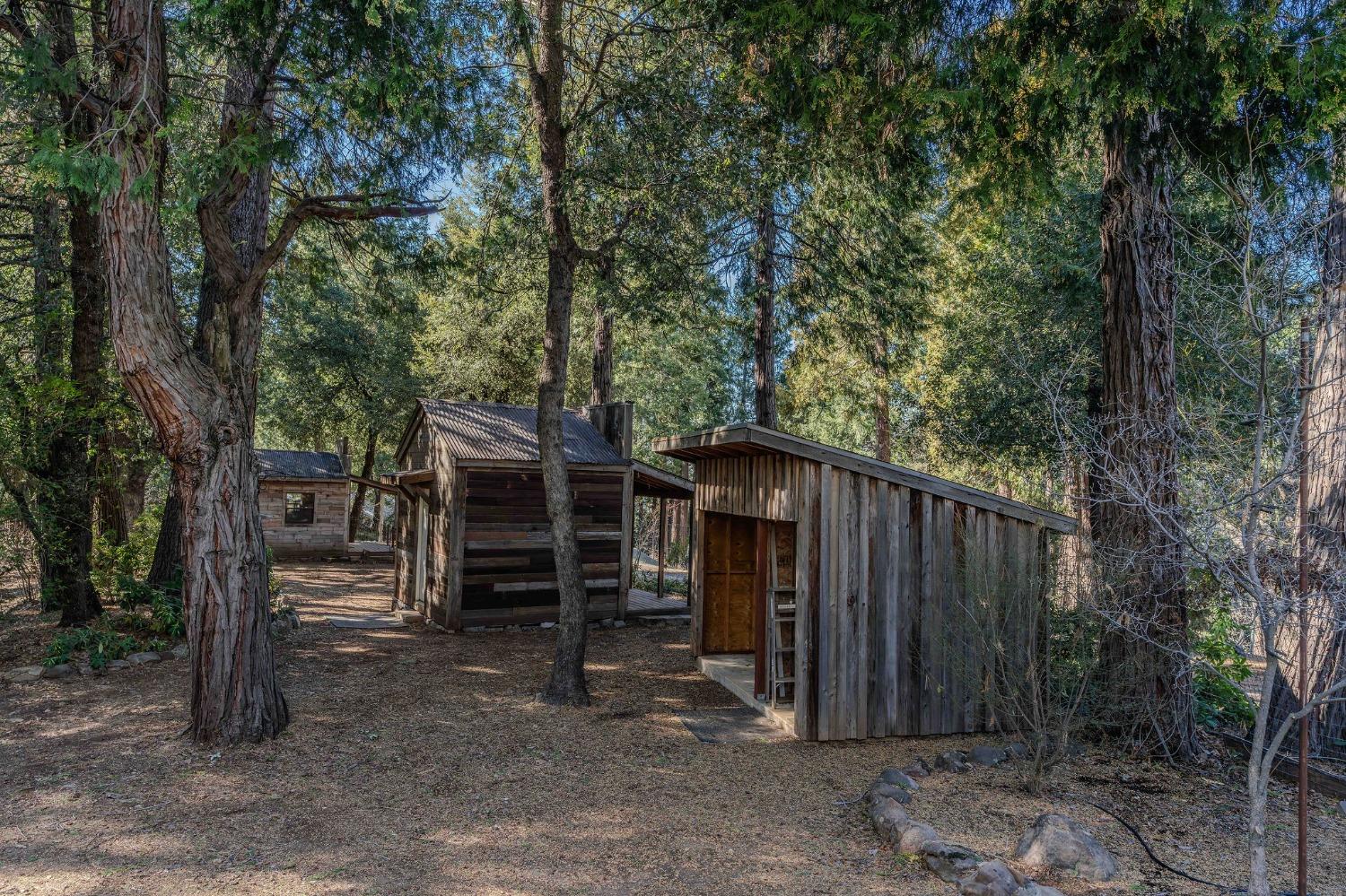 24985 Shake Ridge Road Volcano, CA 95689 - Photo 10 of 92 a view of a house with backyard and trees