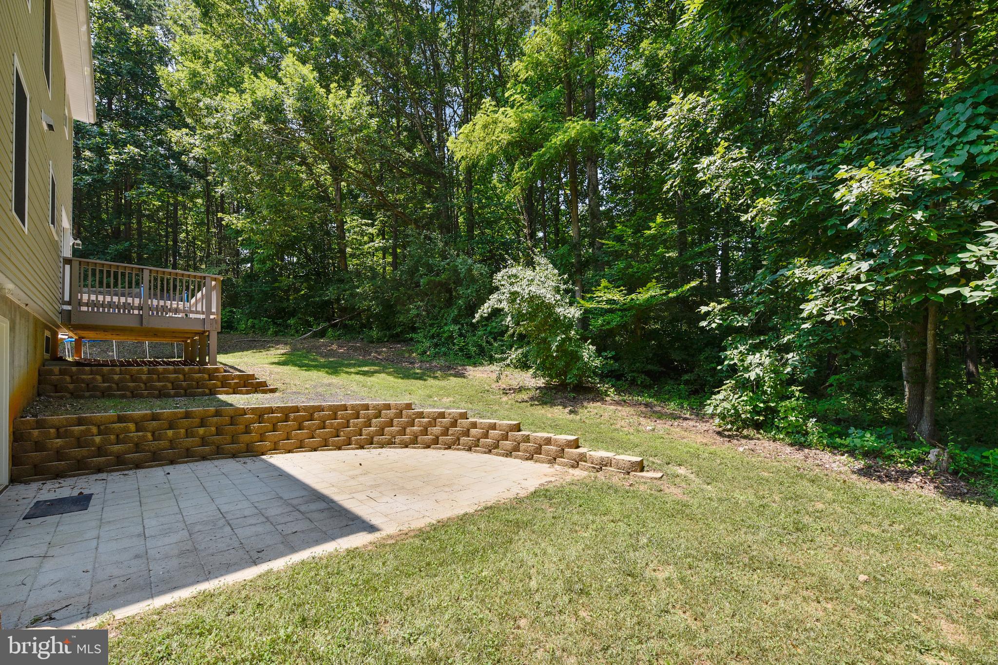 14518 Thickett Ridge Lane Rixeyville, VA 22737 - Photo 3 of 20 Rear yard