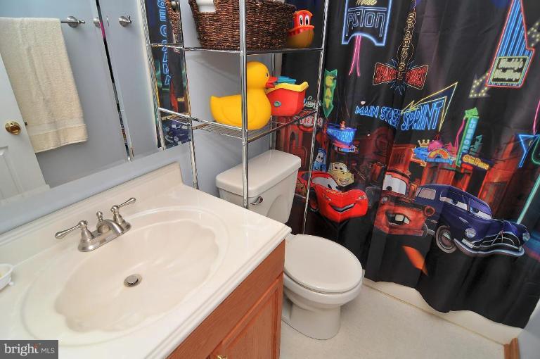 4073 Sharp Road Glenelg, MD 21737 - Photo 18 of 22 Bath #2