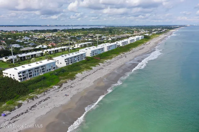 a view of a balcony with a plant
