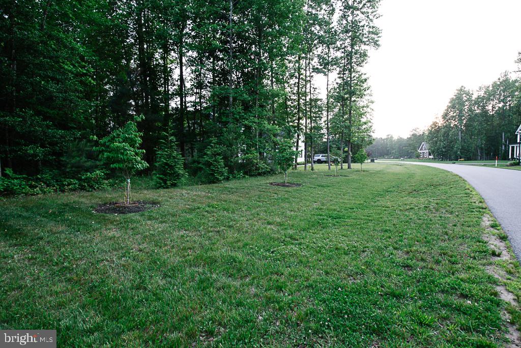 24268 Jerrico Road Lincoln, DE 19960 - Photo 40 of 44 Serene green space by the woods.
