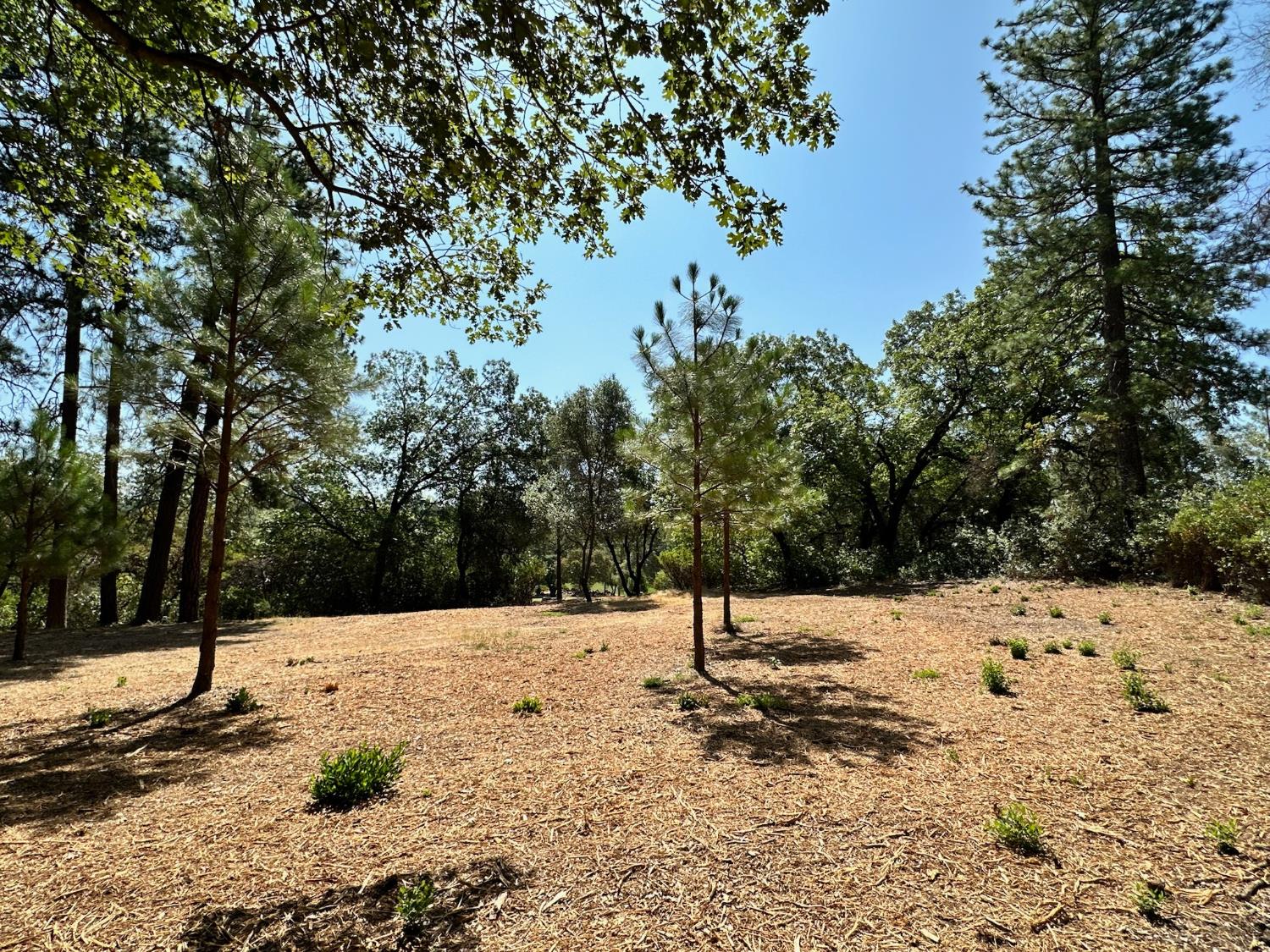 4003 Summit View Court Meadow Vista, CA 95722 - Photo 12 of 40 a view of a snow covered with snow in front of yard