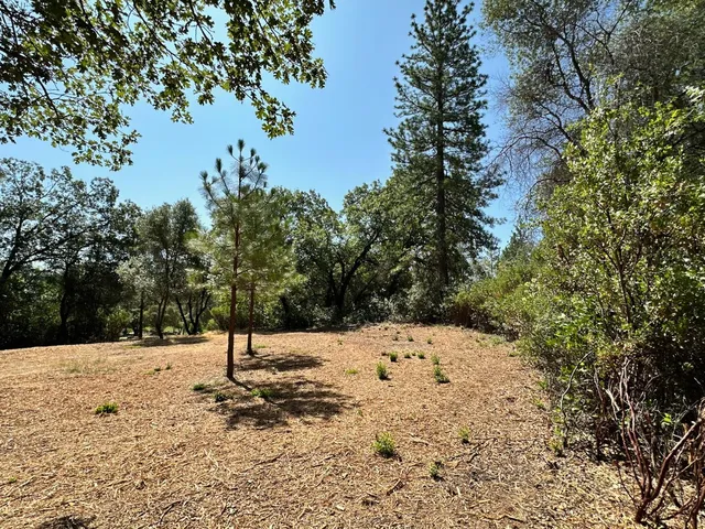 a view of outdoor space and trees