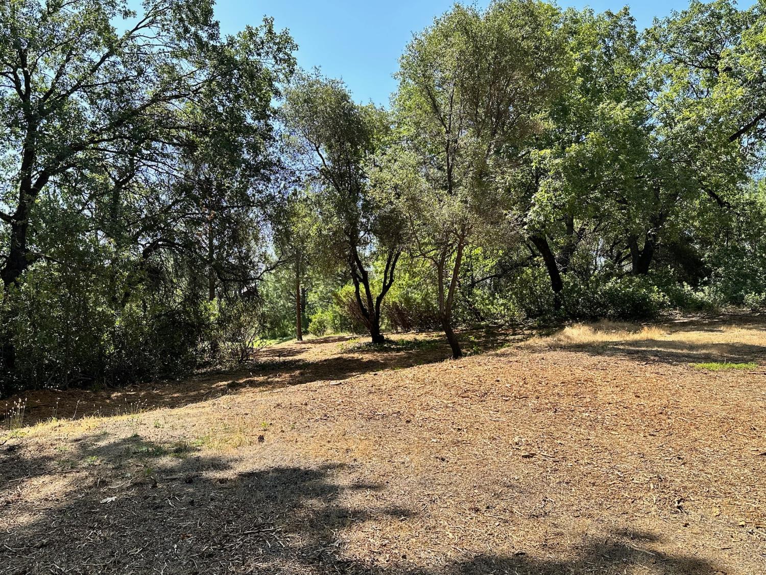 4003 Summit View Court Meadow Vista, CA 95722 - Photo 18 of 40 a view of empty space with large trees