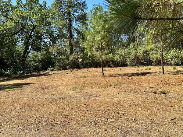 $600,000 | 4003 Summit View Court, Meadow Vista, CA 95722