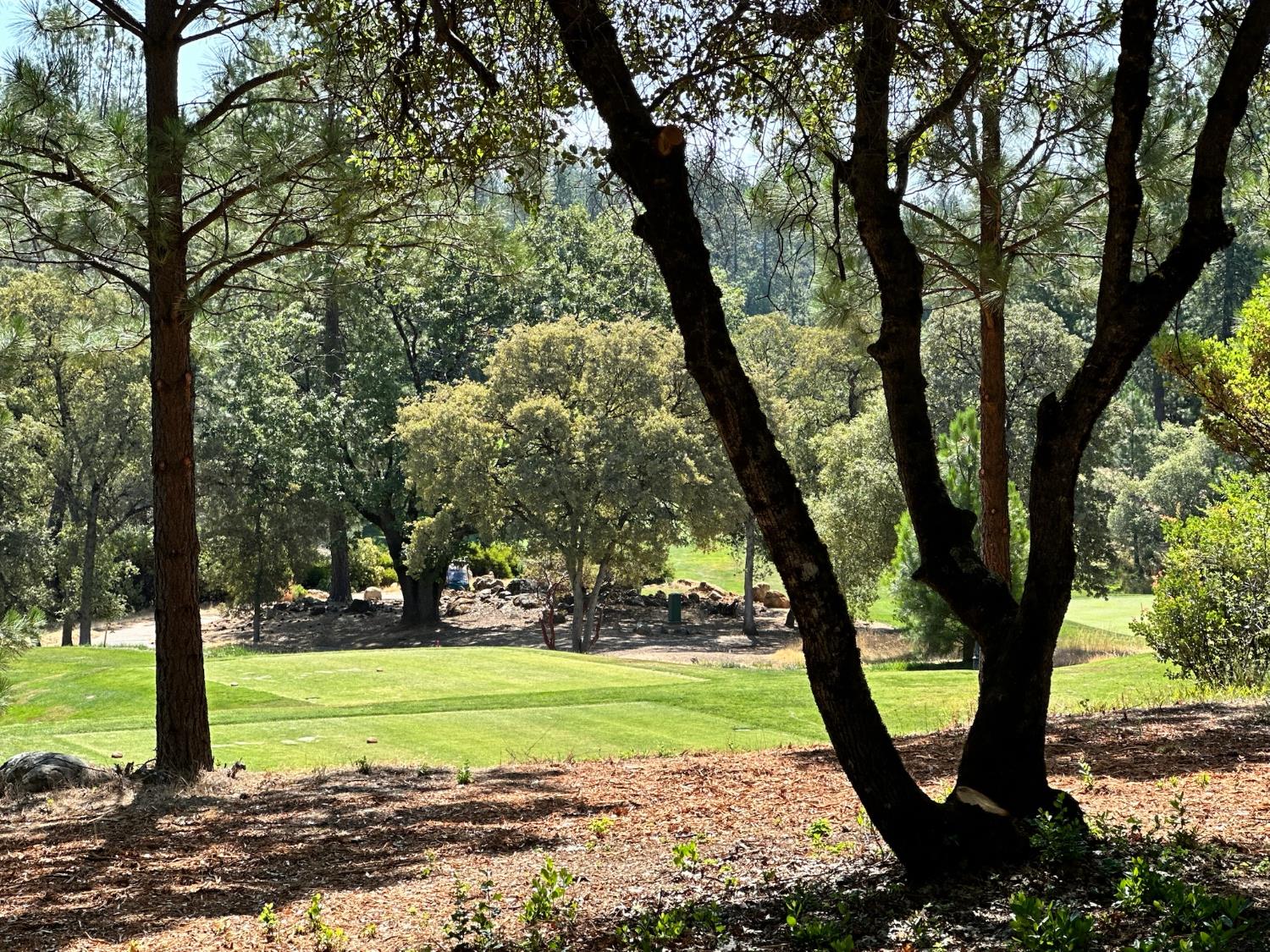 4003 Summit View Court Meadow Vista, CA 95722 - Photo 2 of 40 a view of a yard with large trees