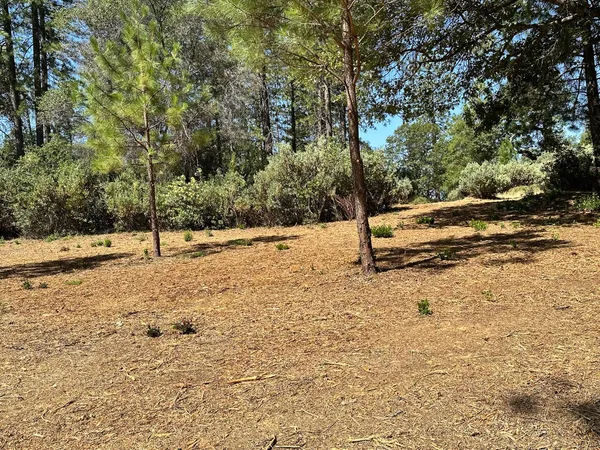 $600,000 | 4003 Summit View Court, Meadow Vista, CA 95722