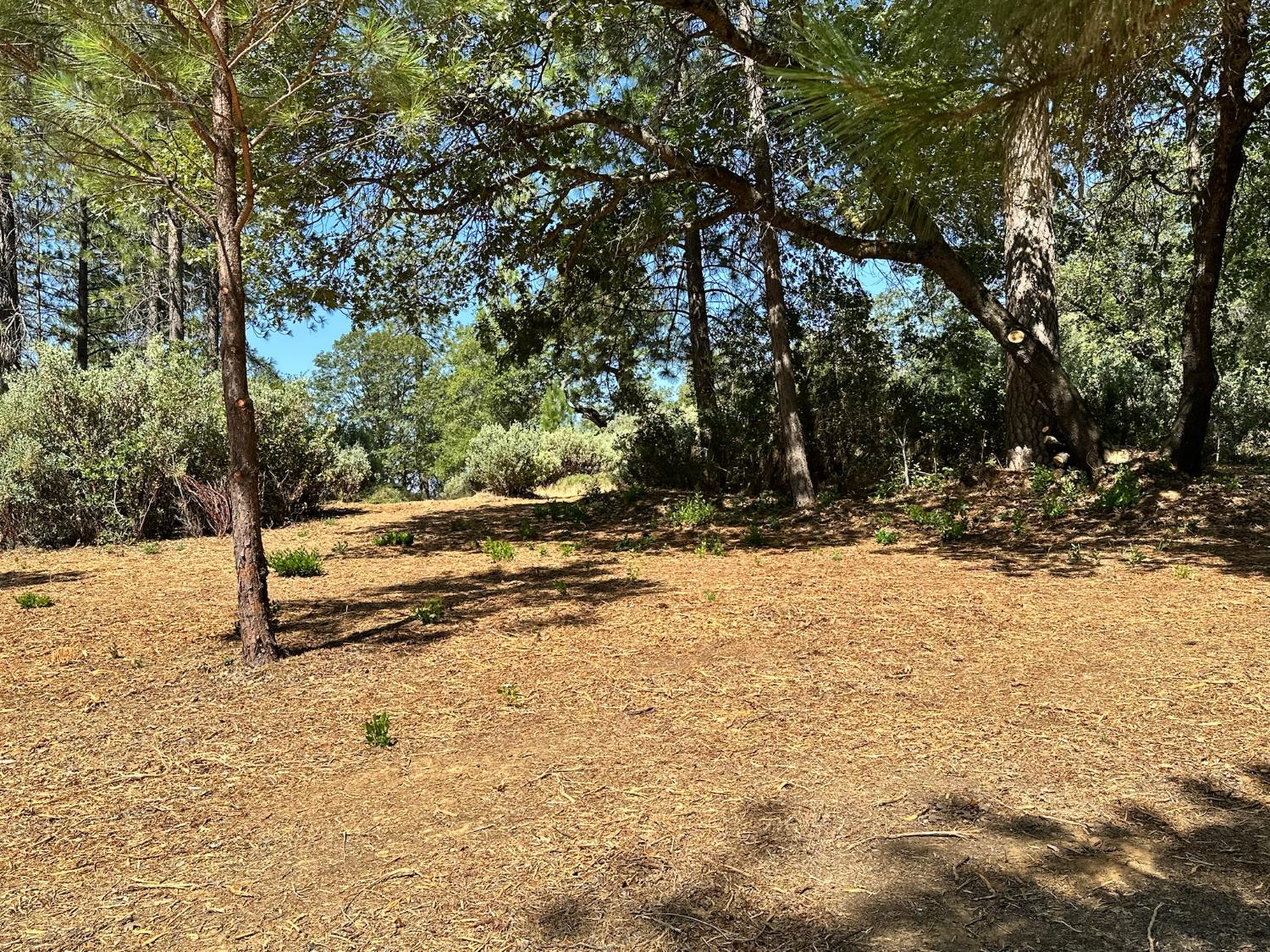 4003 Summit View Court Meadow Vista, CA 95722 - Photo 22 of 40 a view of a yard with trees