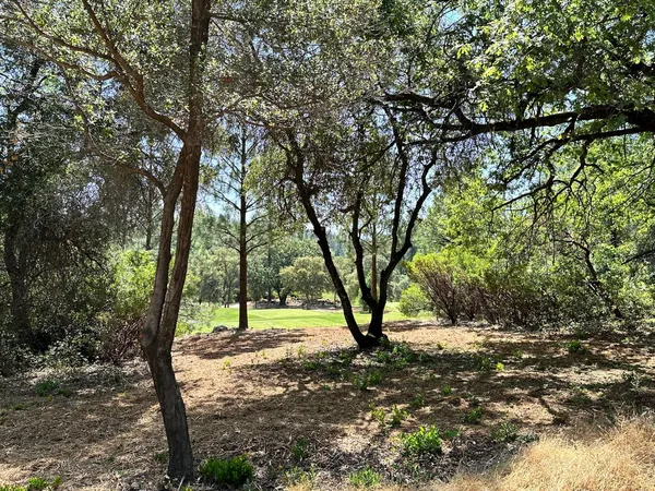$600,000 | 4003 Summit View Court, Meadow Vista, CA 95722