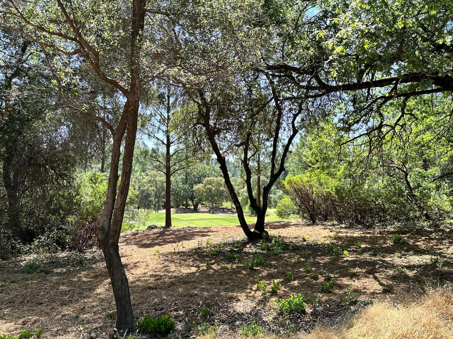 4003 Summit View Court Meadow Vista, CA 95722 - Photo 24 of 40 a view of outdoor space with deck and trees