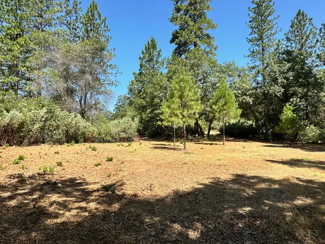 a view of a yard with a tree