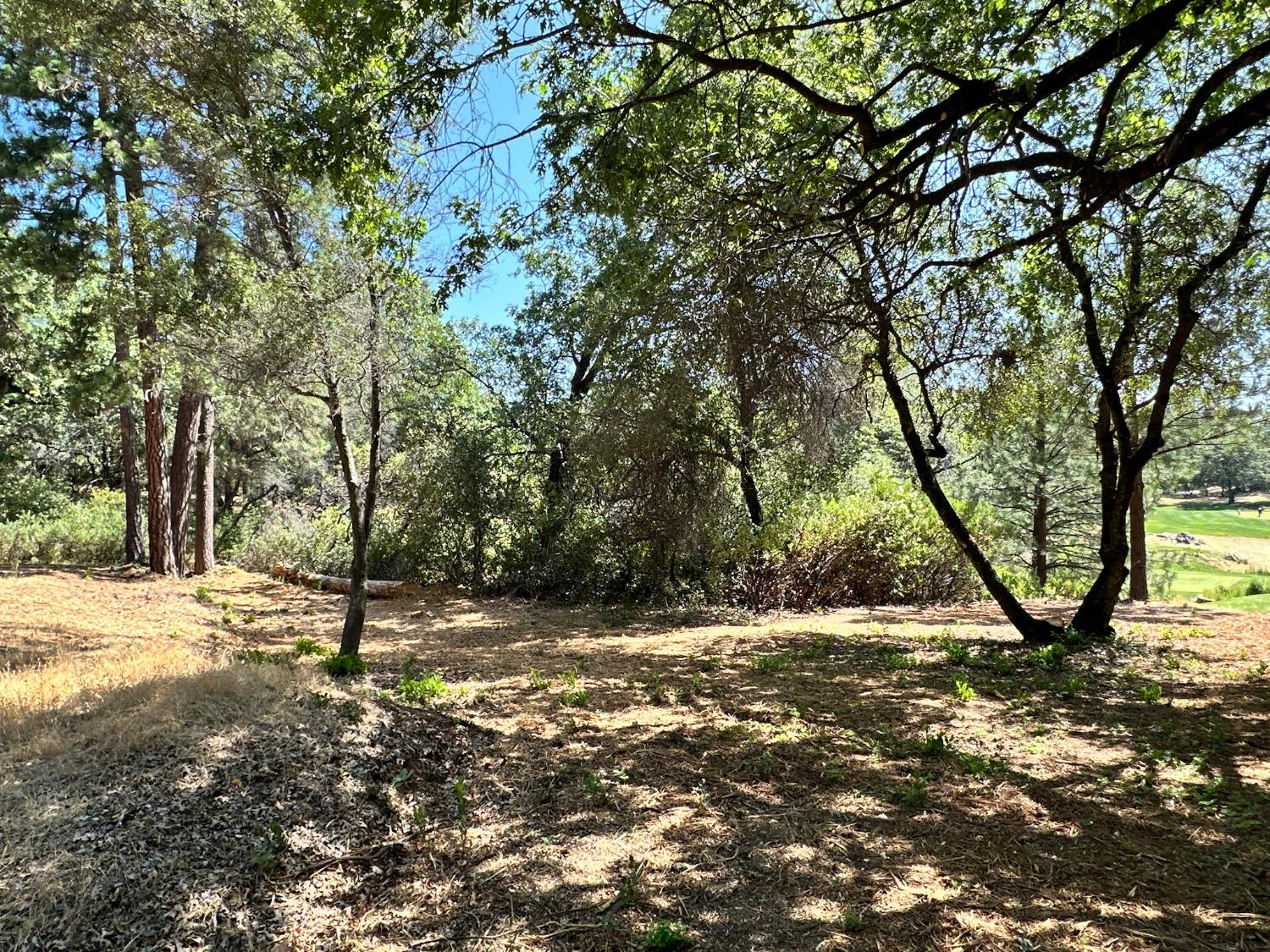 4003 Summit View Court Meadow Vista, CA 95722 - Photo 28 of 40 a view of a tree with a yard