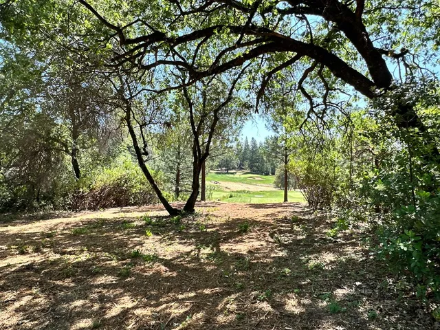 a view of a swimming pool with a yard