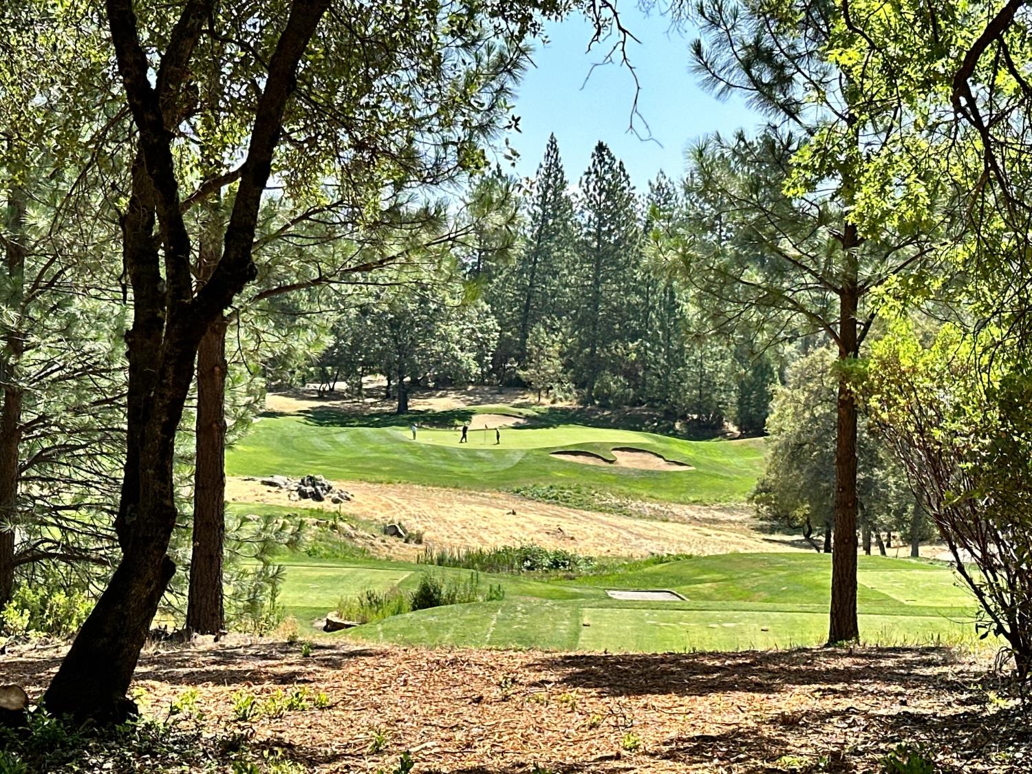 4003 Summit View Court Meadow Vista, CA 95722 - Photo 30 of 40 a view of a swimming pool with a yard