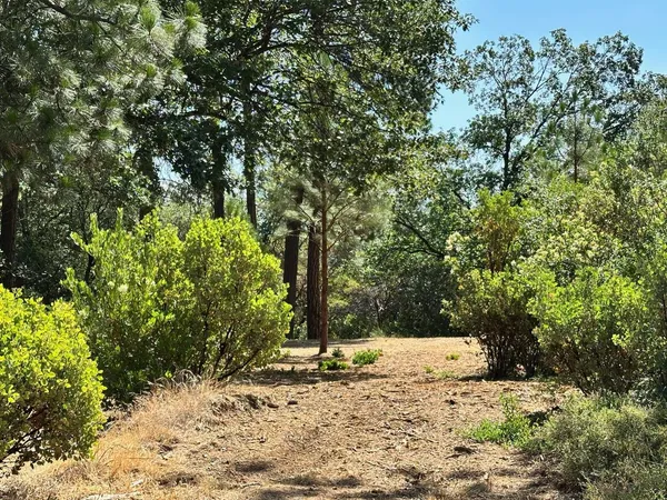 $600,000 | 4003 Summit View Court, Meadow Vista, CA 95722