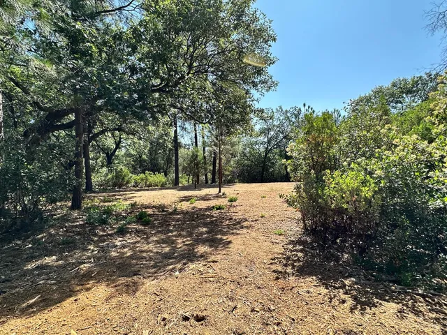 a view of outdoor space with trees