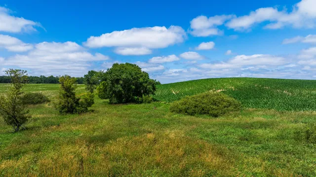 $1,137,023 | Tbd 370th Street, Pelican Rapids, MN 56572