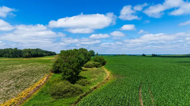 $1,137,023 | Tbd 370th Street, Pelican Rapids, MN 56572