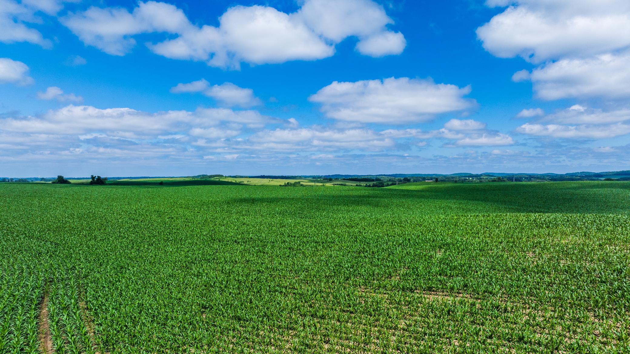 Tbd 370th Street Pelican Rapids, MN 56572 - Photo 15 of 39