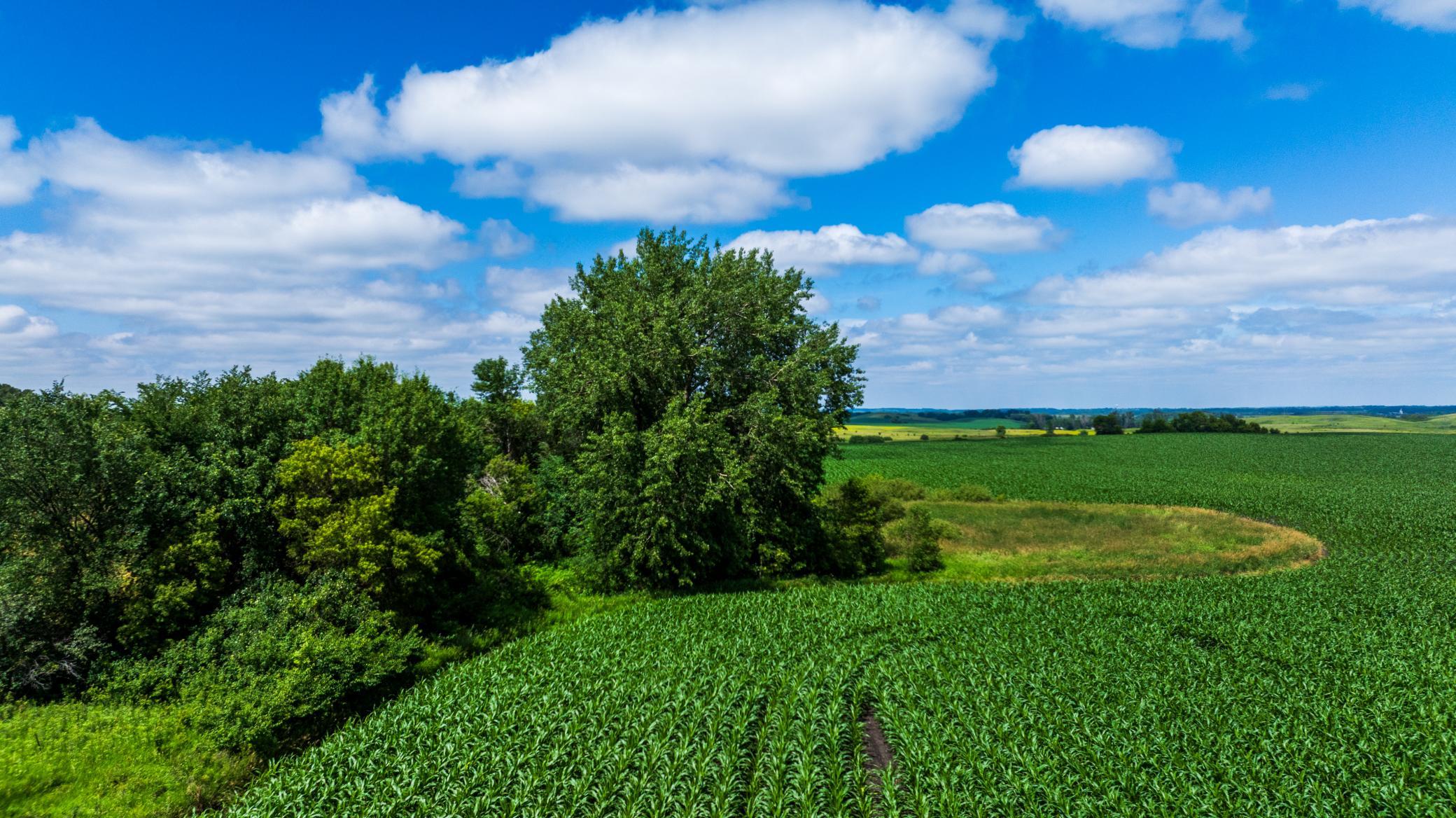 Tbd 370th Street Pelican Rapids, MN 56572 - Photo 17 of 39
