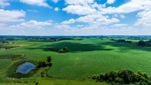 $1,137,023 | Tbd 370th Street, Pelican Rapids, MN 56572