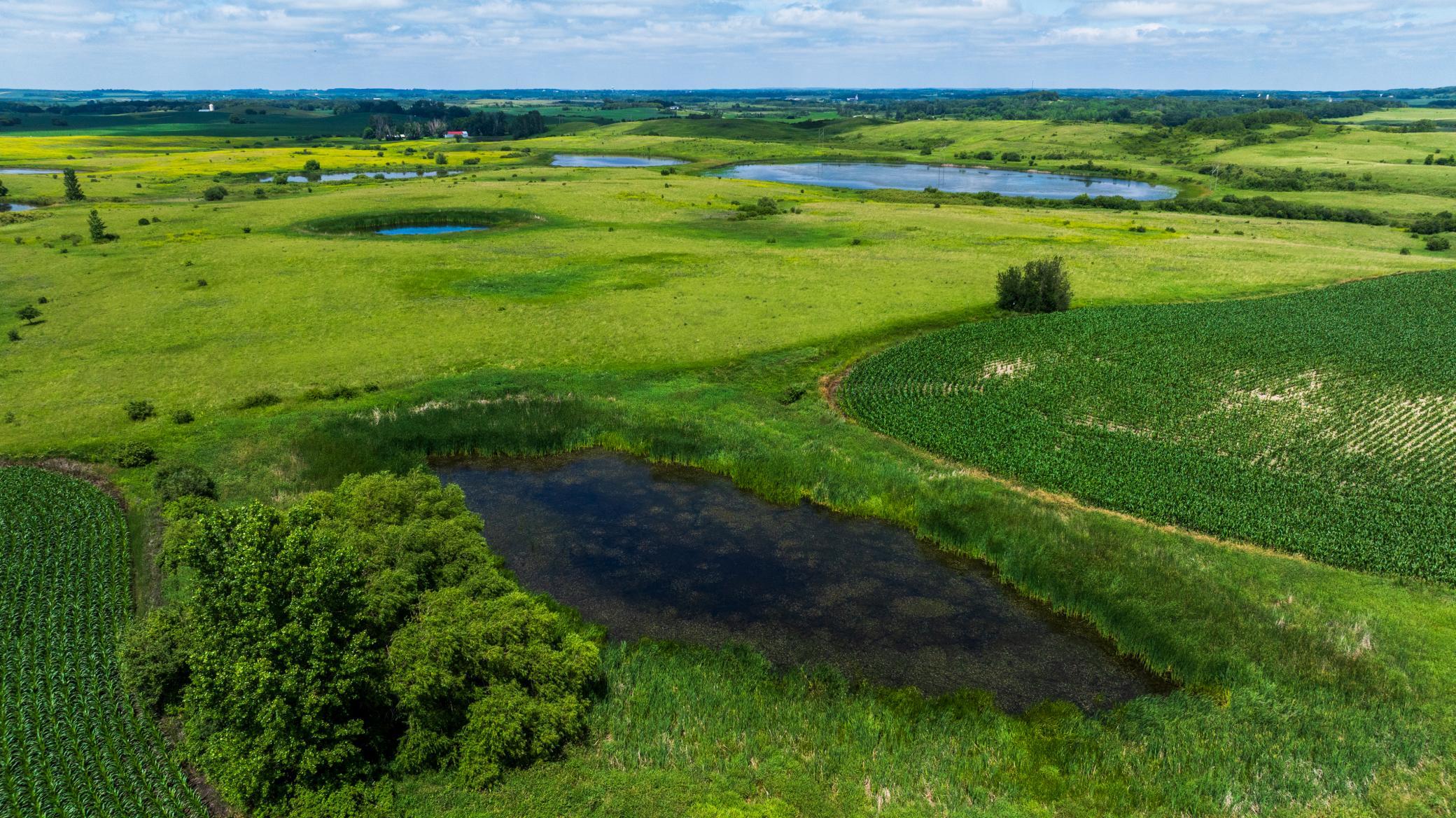 Tbd 370th Street Pelican Rapids, MN 56572 - Photo 20 of 39