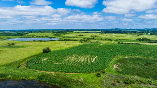 $1,137,023 | Tbd 370th Street, Pelican Rapids, MN 56572