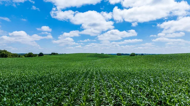 $1,137,023 | Tbd 370th Street, Pelican Rapids, MN 56572