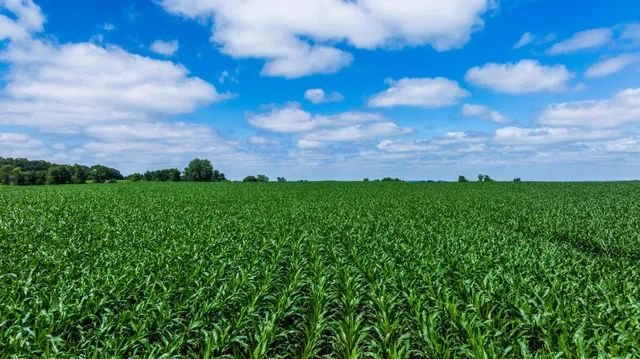 $1,137,023 | Tbd 370th Street, Pelican Rapids, MN 56572