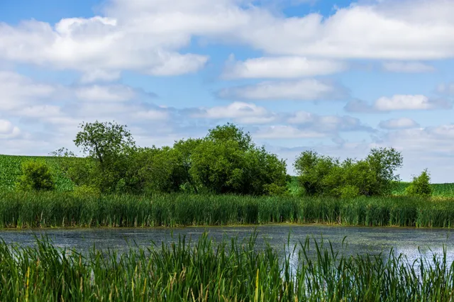 $1,137,023 | Tbd 370th Street, Pelican Rapids, MN 56572