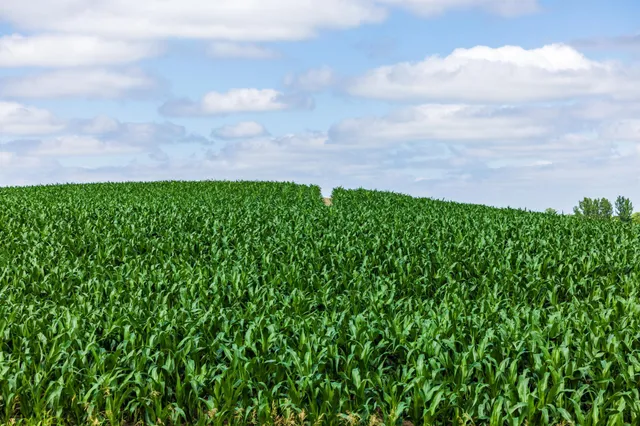 $1,137,023 | Tbd 370th Street, Pelican Rapids, MN 56572