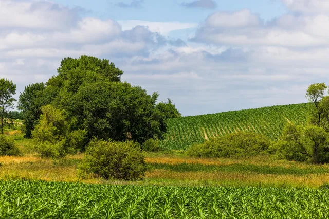 $1,137,023 | Tbd 370th Street, Pelican Rapids, MN 56572