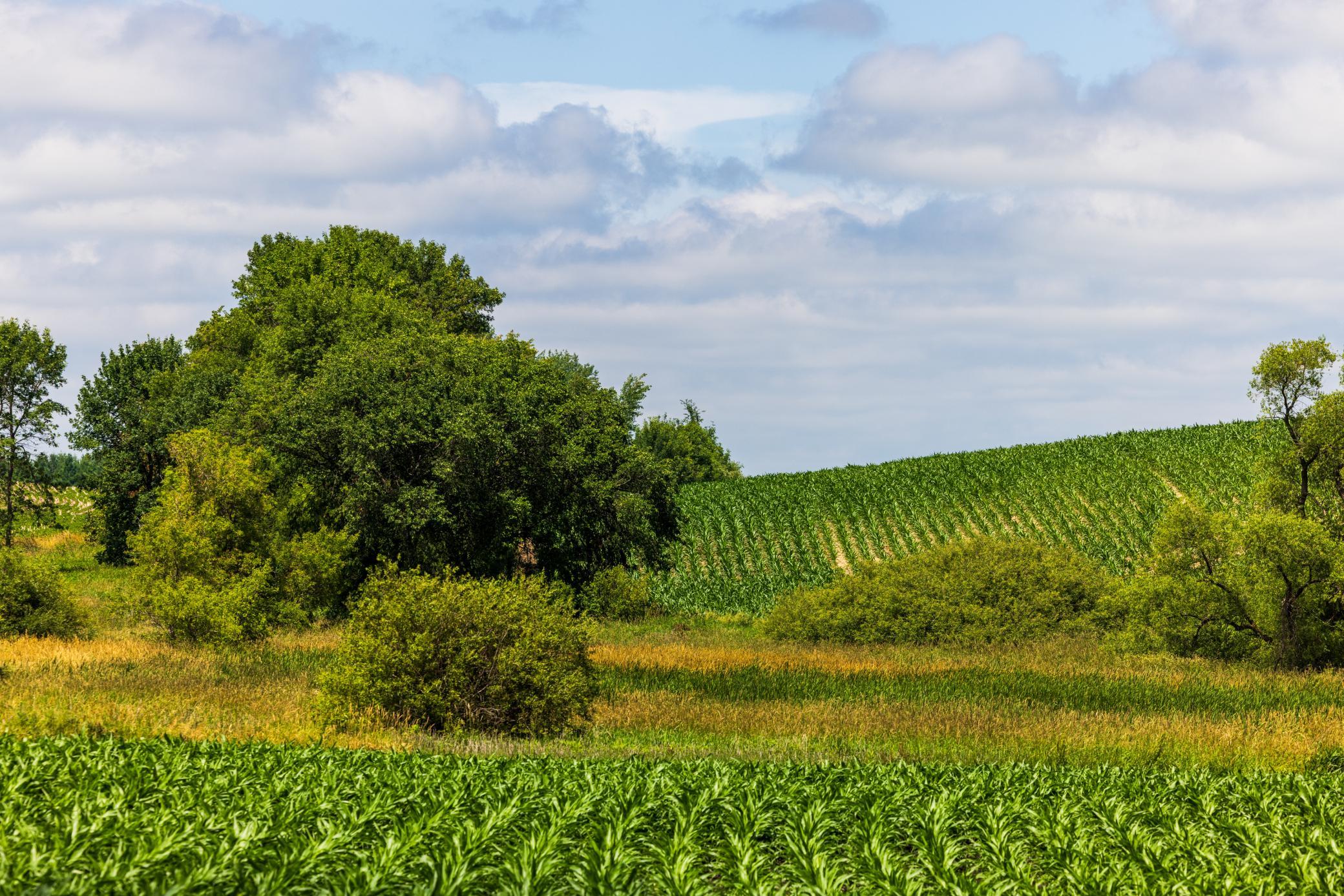 Tbd 370th Street Pelican Rapids, MN 56572 - Photo 5 of 39