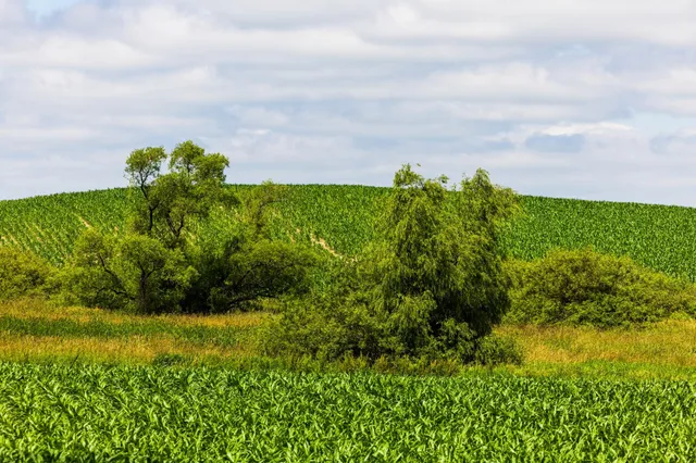 $1,137,023 | Tbd 370th Street, Pelican Rapids, MN 56572