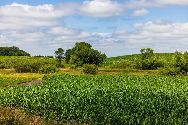 $1,137,023 | Tbd 370th Street, Pelican Rapids, MN 56572