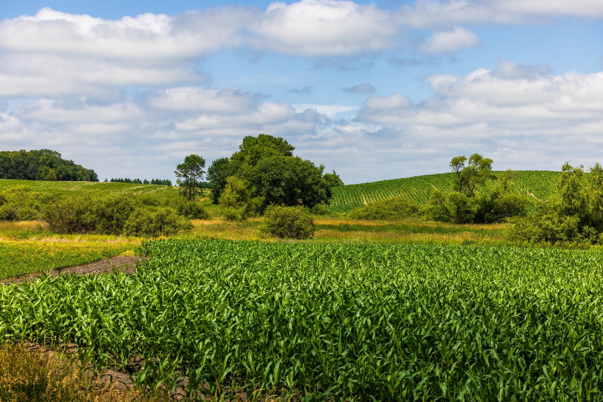 Tbd 370th Street Pelican Rapids, MN 56572 - Photo 7 of 39