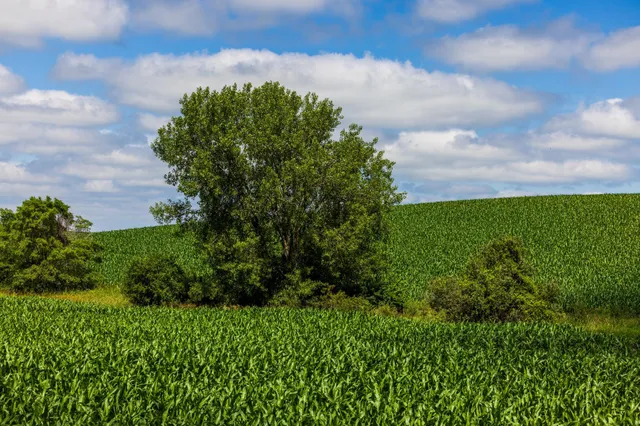 $1,137,023 | Tbd 370th Street, Pelican Rapids, MN 56572