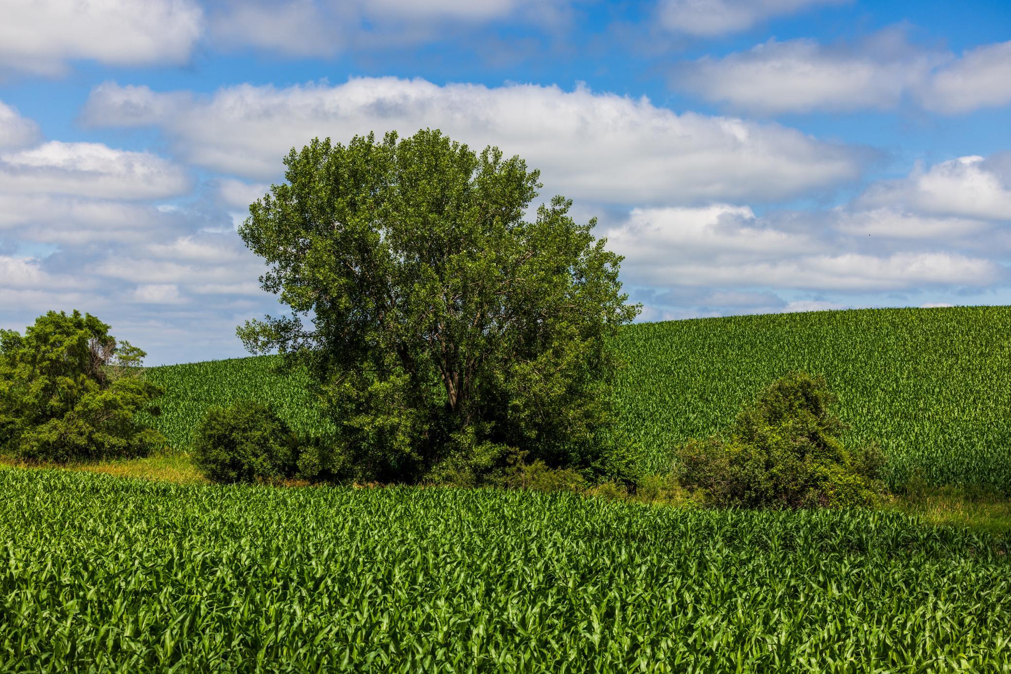 Tbd 370th Street Pelican Rapids, MN 56572 - Photo 8 of 39