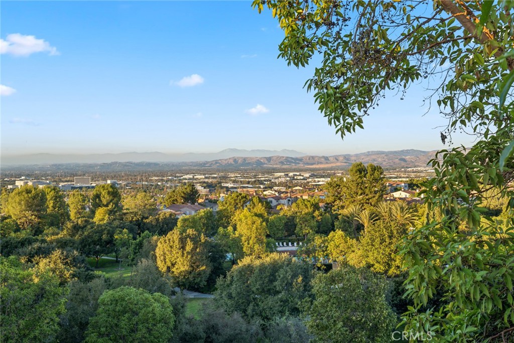 46 Silhouette Irvine, CA 92603 - Photo 26 of 42 a view of lake view