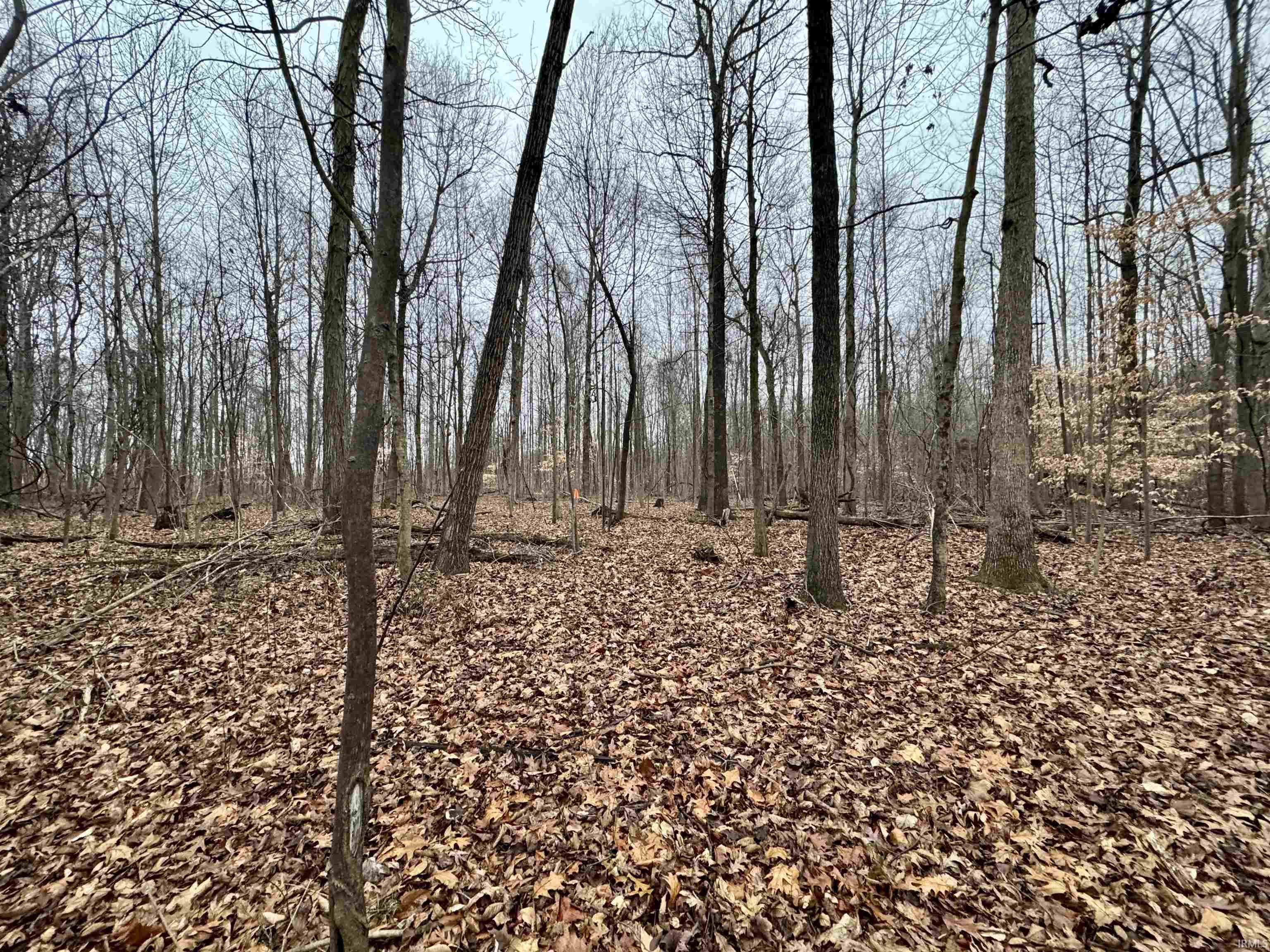 Rama Dye Road Shoals, IN 47581 - Photo 11 of 30