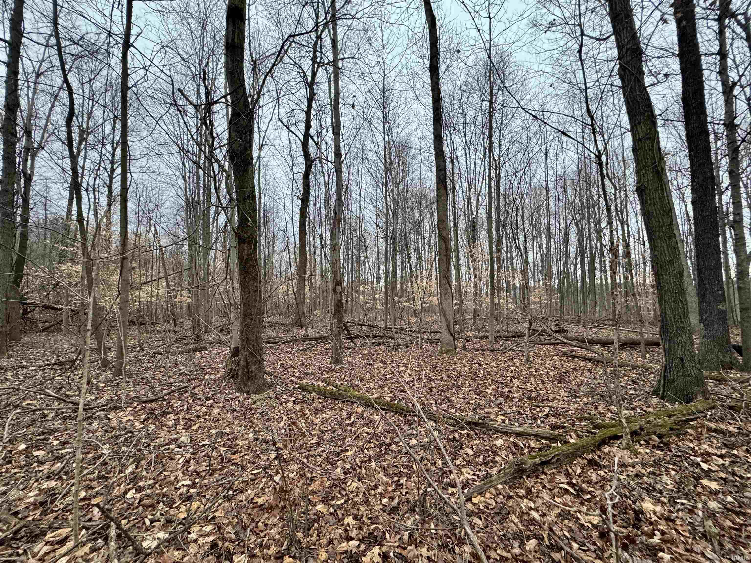 Rama Dye Road Shoals, IN 47581 - Photo 13 of 30