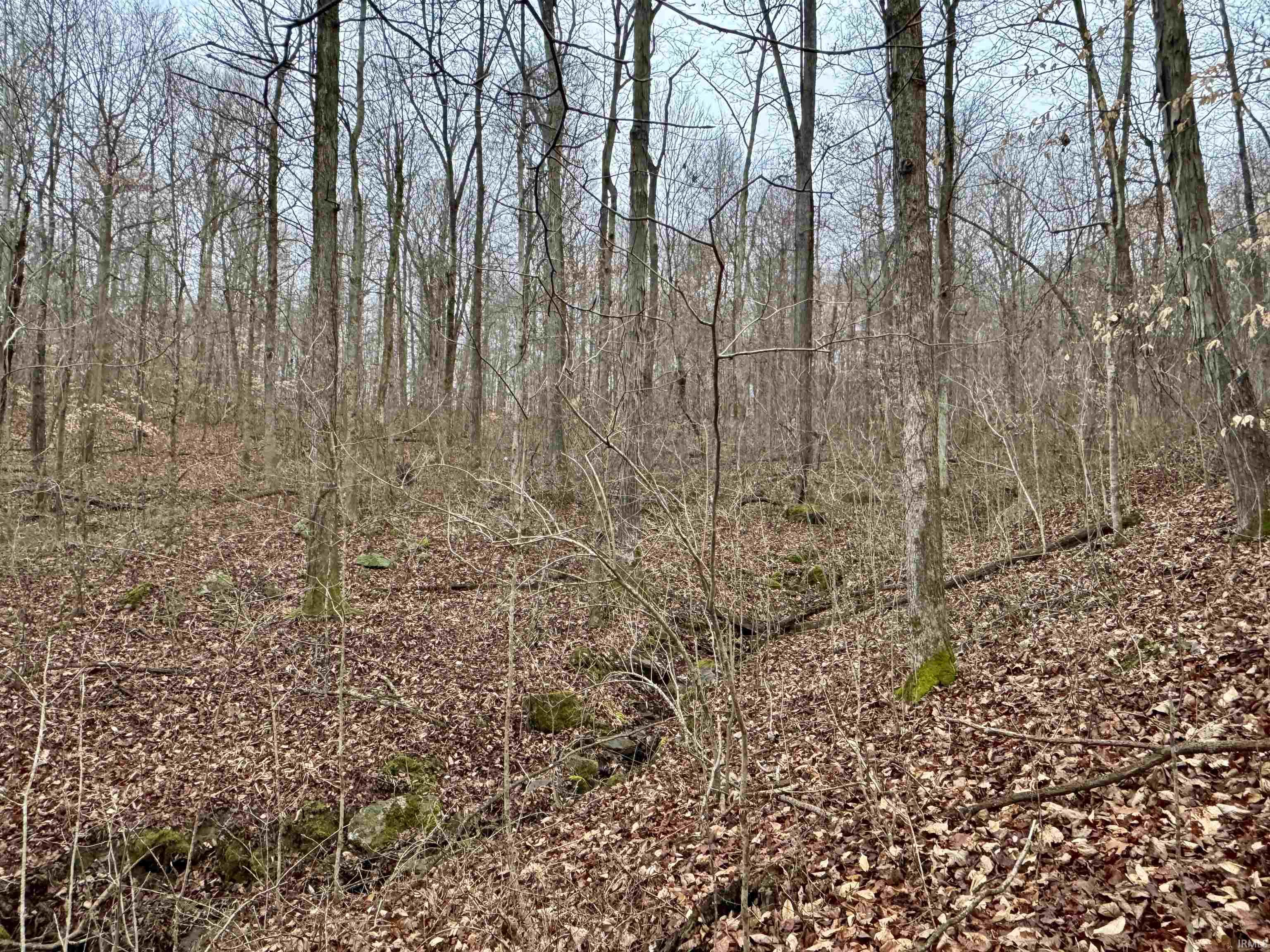 Rama Dye Road Shoals, IN 47581 - Photo 18 of 30