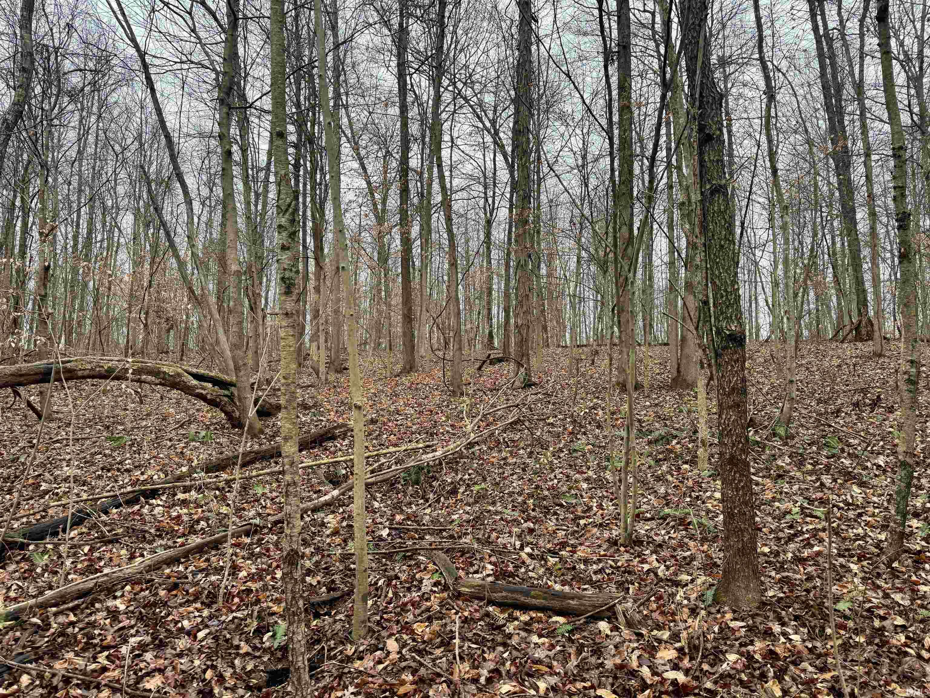 Rama Dye Road Shoals, IN 47581 - Photo 19 of 30