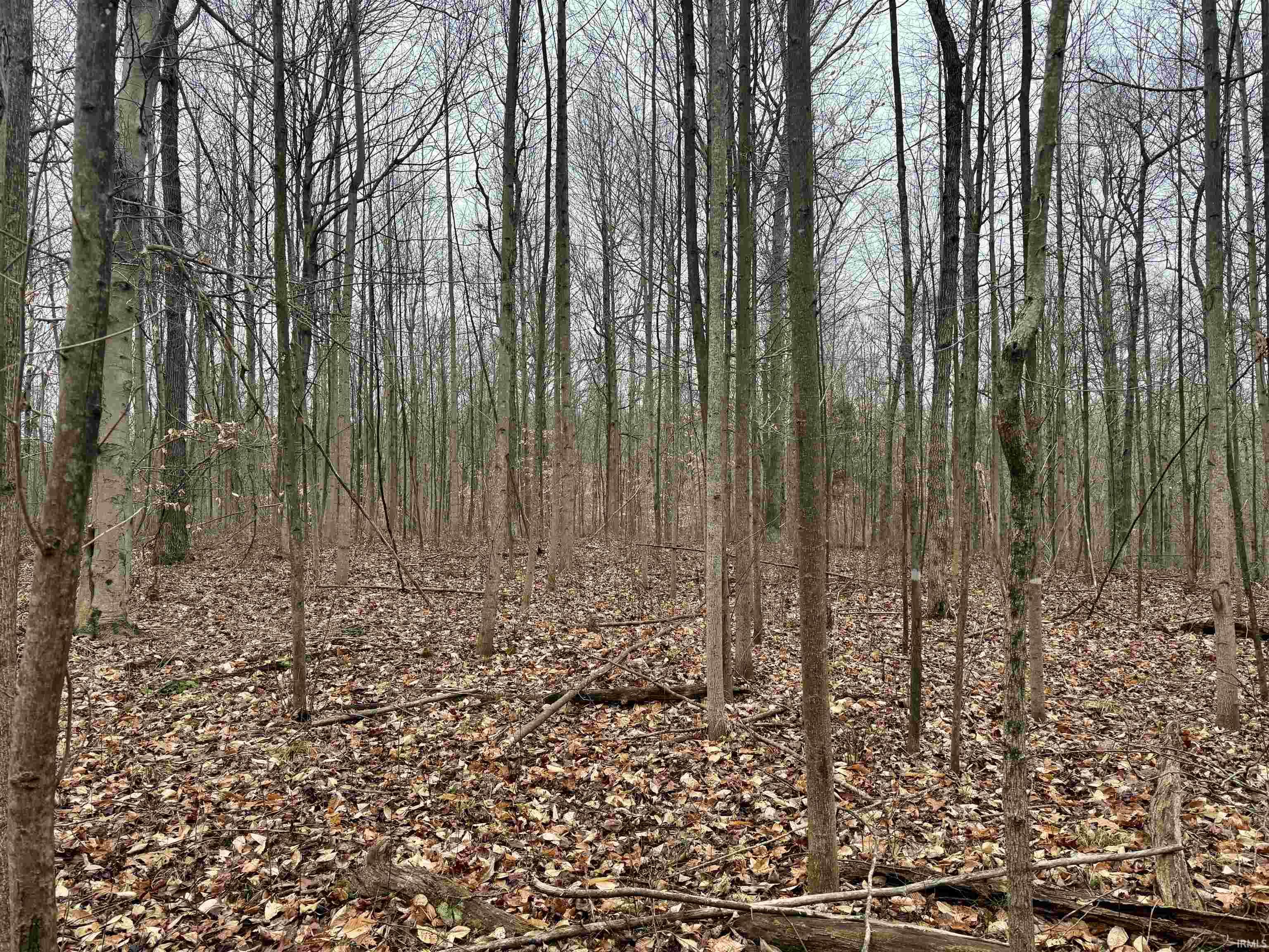 Rama Dye Road Shoals, IN 47581 - Photo 20 of 30