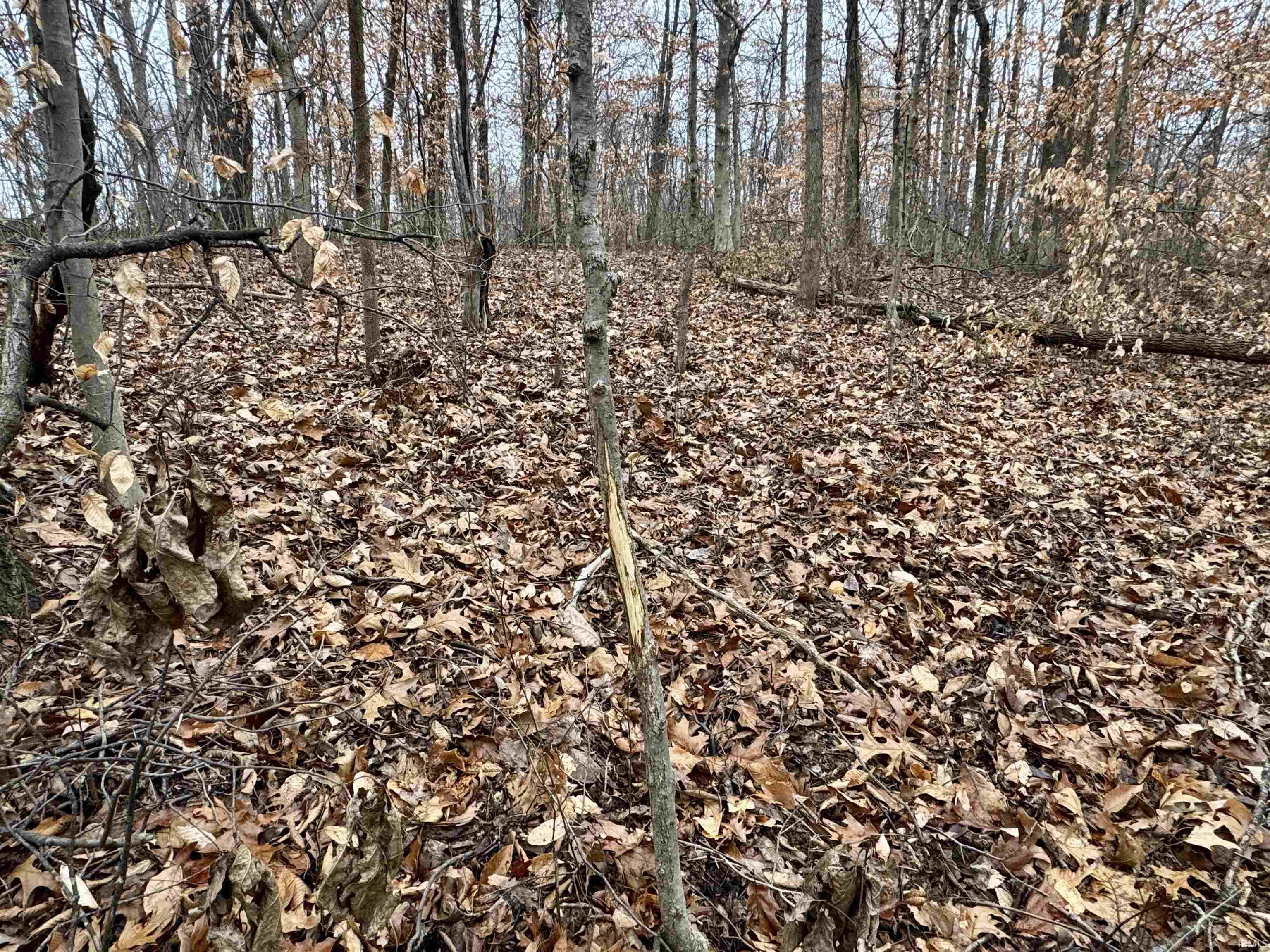 Rama Dye Road Shoals, IN 47581 - Photo 21 of 30