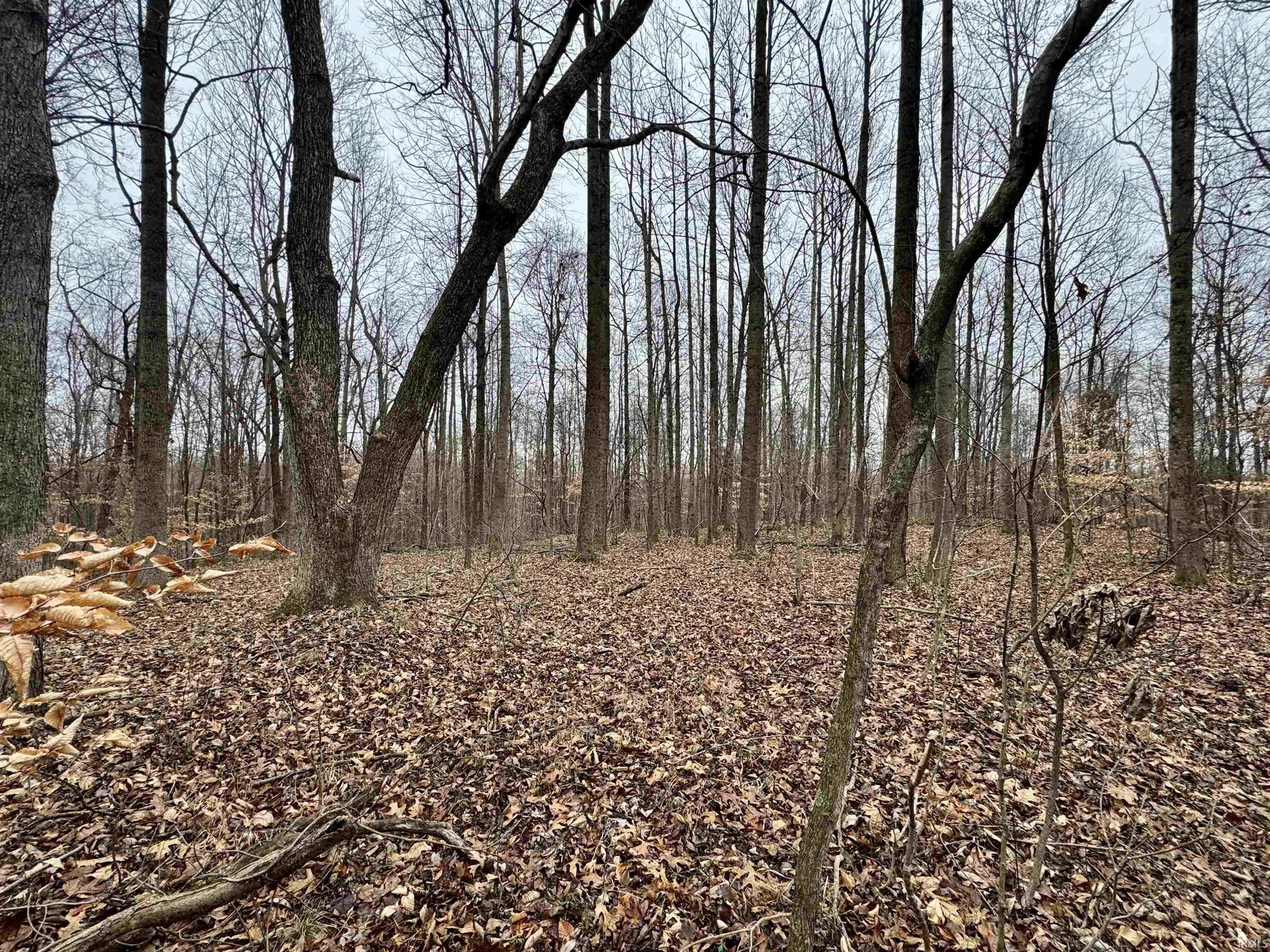 Rama Dye Road Shoals, IN 47581 - Photo 23 of 30