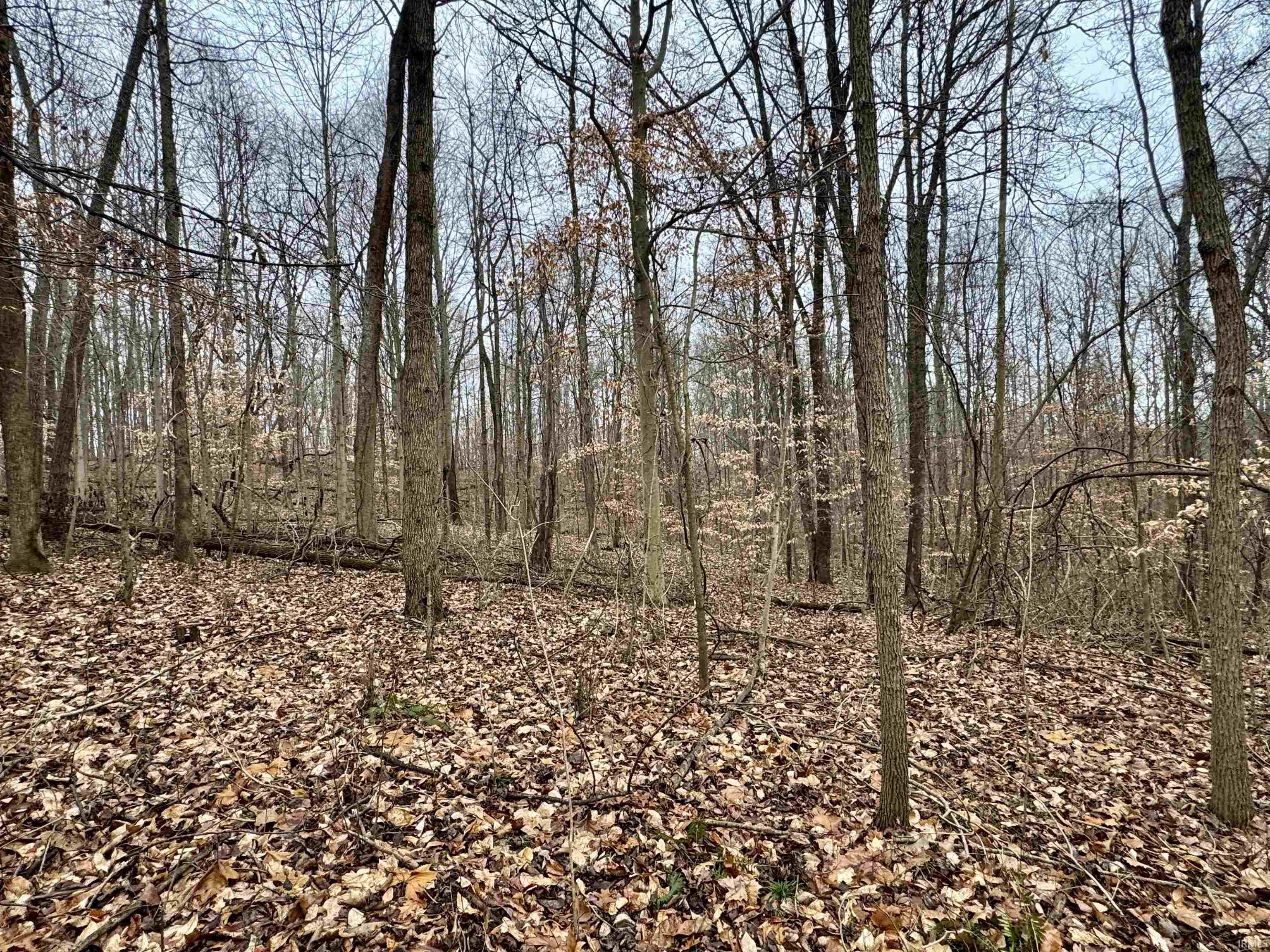 Rama Dye Road Shoals, IN 47581 - Photo 25 of 30