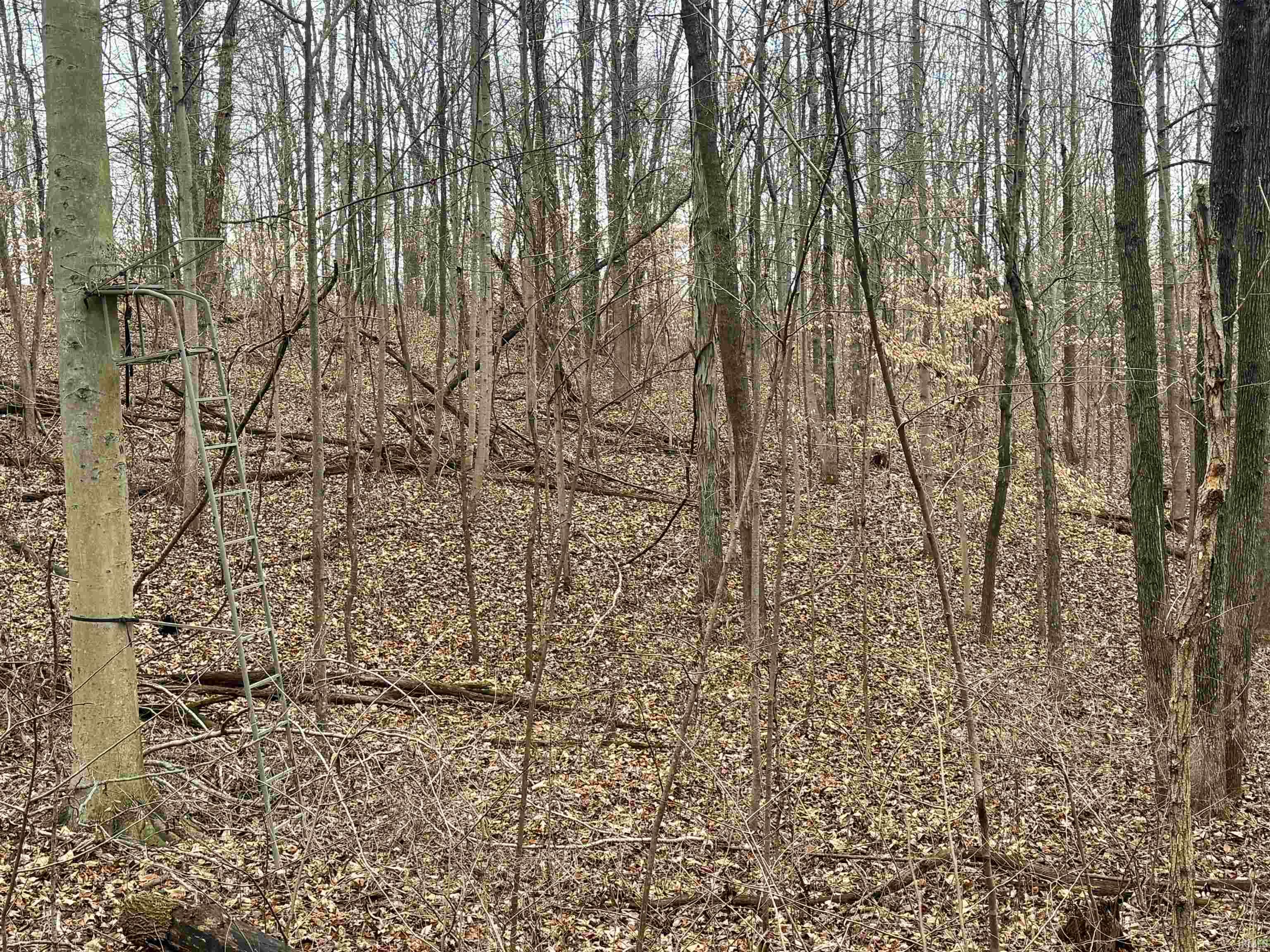Rama Dye Road Shoals, IN 47581 - Photo 27 of 30